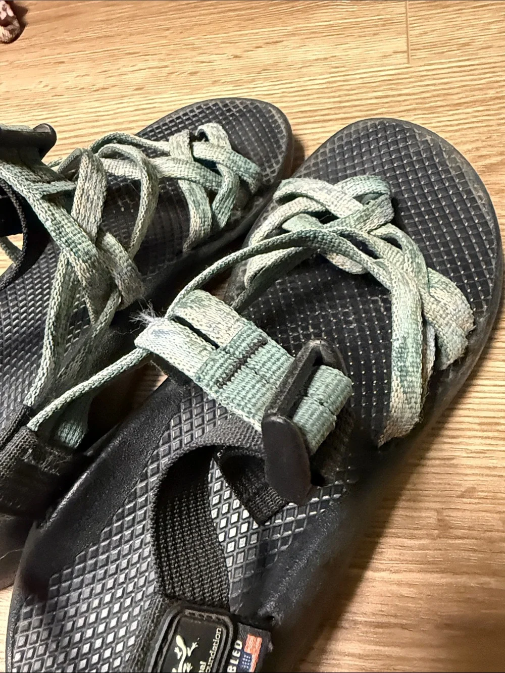 Chaco Teal Green Webbing Sport Sandals